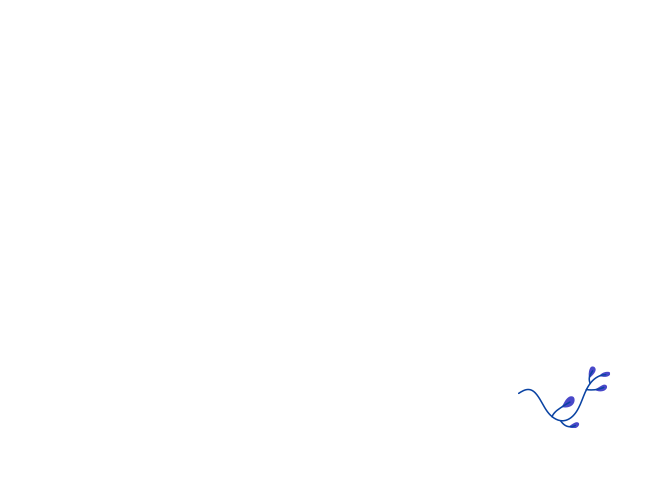 service-01_img-2_06.png